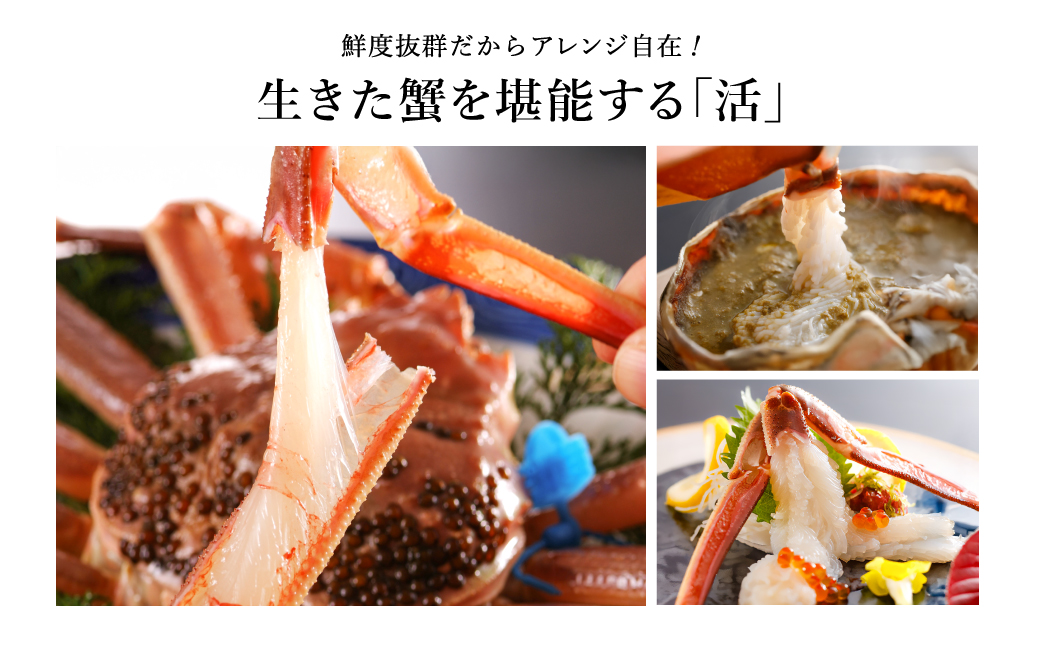【kinosaki spa&gardens　湯楽使用】タグつき 活松葉ガニ　約900ｇ