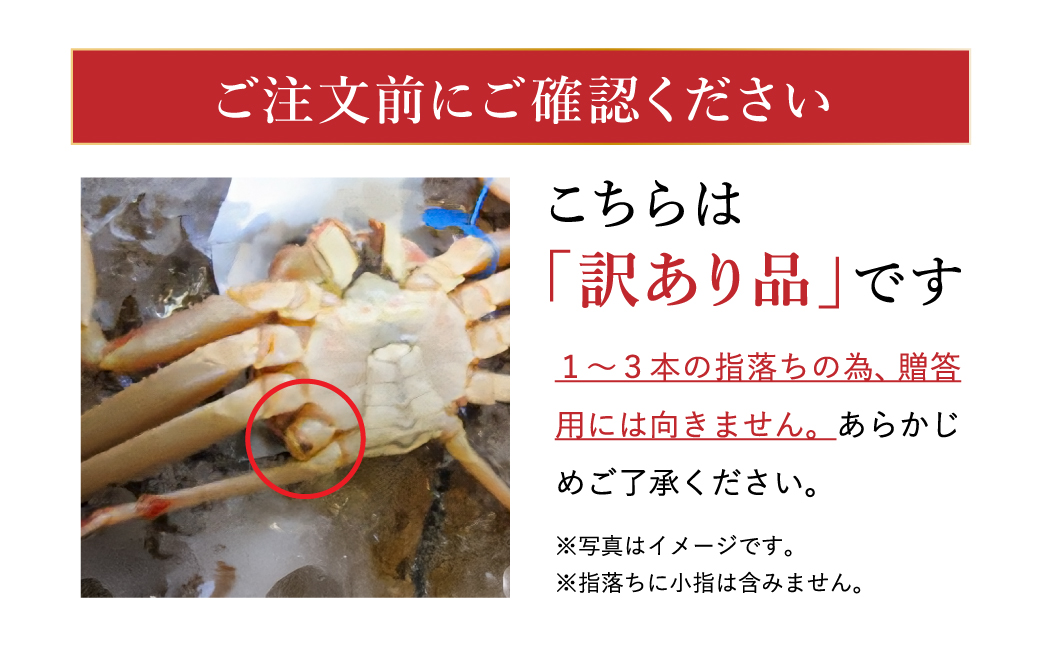 【訳あり】タグつき 釜茹で松葉ガニ700g前後