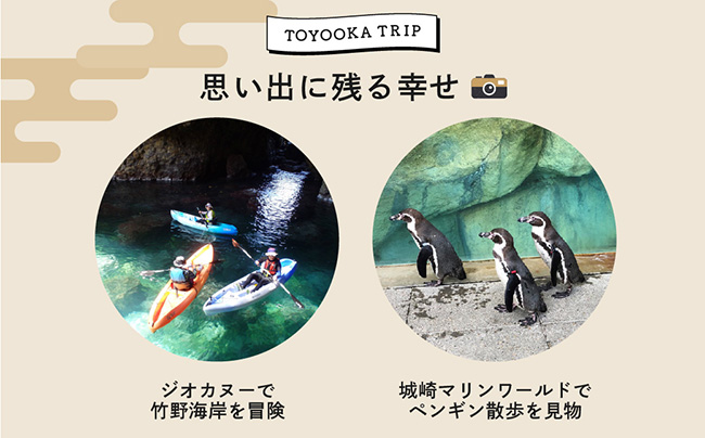 豊岡市旅行クーポン 30,000円分 3年間有効 城崎温泉 出石 竹野 神鍋 など 宿泊施設 飲食店 観光施設 230施設以上で使える旅行券 「豊岡旅幸券」 旅行 宿泊 旅 トラベルの チケット