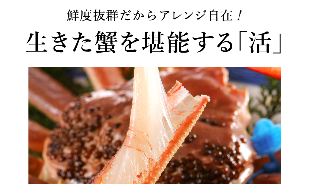 期間・数量限定 タグ付き 津居山産 松葉ガニ 1杯 / 活 900g～1kg / 新鮮 松葉がに 松葉蟹 ズワイガニ ずわいがに かに カニ 蟹 冷蔵 海鮮 お取り寄せ グルメ 兵庫県 豊岡市 津居山漁港 但馬漁業協同組合