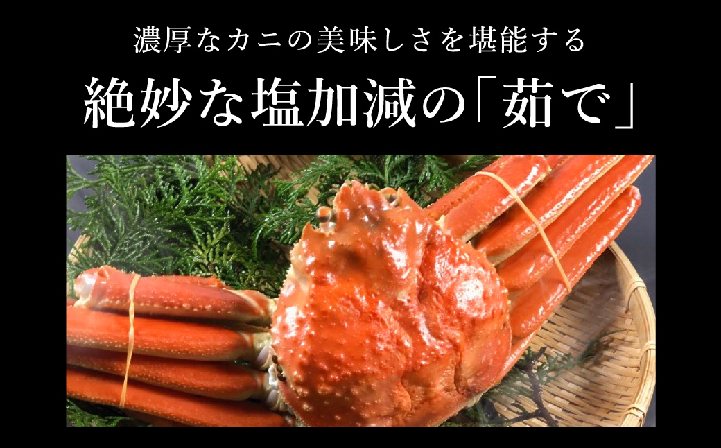 期間・数量限定 タグ付き 津居山産 松葉ガニ 1杯 / 茹で 700g～800g / 新鮮 松葉がに 松葉蟹 ズワイガニ ずわいがに かに カニ 蟹 ボイル 冷蔵 海鮮 お取り寄せ グルメ 兵庫県 豊岡市 津居山漁港 但馬漁業協同組合