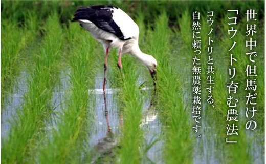 令和7年産　新米 無農薬 米 15kg コウノトリ育むお米 新米 但馬産 こしひかり 兵庫県産(5kg×3袋)（94-002）無農薬 お米 15キロ 精米 白米 コウノトリ米 コシヒカリ 農薬不使用 特別栽培米 新米 予約 コメ こめ ご飯 ライス 無農薬米