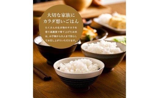 令和7年産　新米 減農薬 米 特別栽培米 10kg コウノトリ育むお米 但馬産 こしひかり 兵庫県産(5kg×2袋)（94-004）減農薬 お米 10キロ 精米 白米 コウノトリ米 コシヒカリ 新米 コメ こめ ご飯 ライス 減農薬米