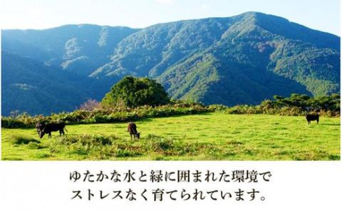 但馬牛 焼肉用 1kg / モモ 肩 牛肉 焼肉 霜降り 赤身 但馬牛 黒毛和牛 和牛 国産牛 焼き肉 牛 肉 やきにく 【JAたじま 肉の店本店】