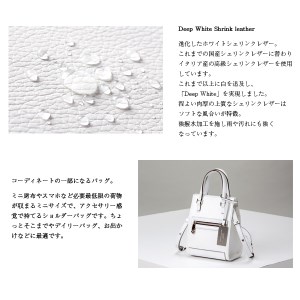 豊岡鞄　スクエアミニショルダー　CJTF-039　ホワイト