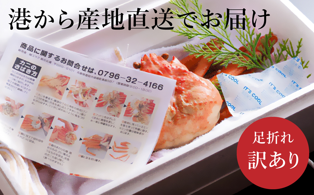 【訳あり】タグつき 活松葉ガニ700g前後
