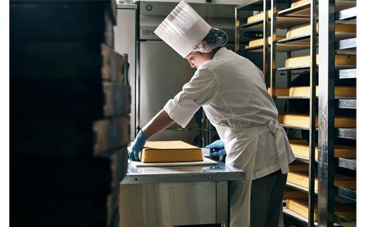 メシテラアイスサンド 6個入り / 米粉 カステラ グルテンフリー ブランド米 米粉100％ ミルクアイスクリーム サンド ふわふわ食感 スイーツ 洋菓子 ミルクサンド コウノトリ育むお米でつくるニッポンのカステラ メシテラ 冷凍