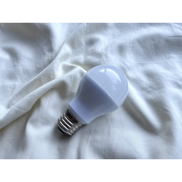 豊岡杞柳細工 育てる照明『tsukigasa』照明金具：ダクトレールタイプ（E26口金） /  ランプシェード 照明金具・電球付き 柳 半楕円体 伝統工芸品 天然素材 行李柳 コオリヤナギ