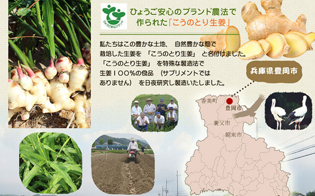 貴重！豊岡市産、日本ミツバチのはちみつで作った はちみつ生姜 150ml / はちみつ 国産 蜂蜜 ハチミツ 兵庫県産 こうのとり生姜 日本ミツバチ ショウガオール お湯割り 炭酸割り はちみつジンジャースカッシュ 温活 しょうが ショウガ 生姜 ジンジャー