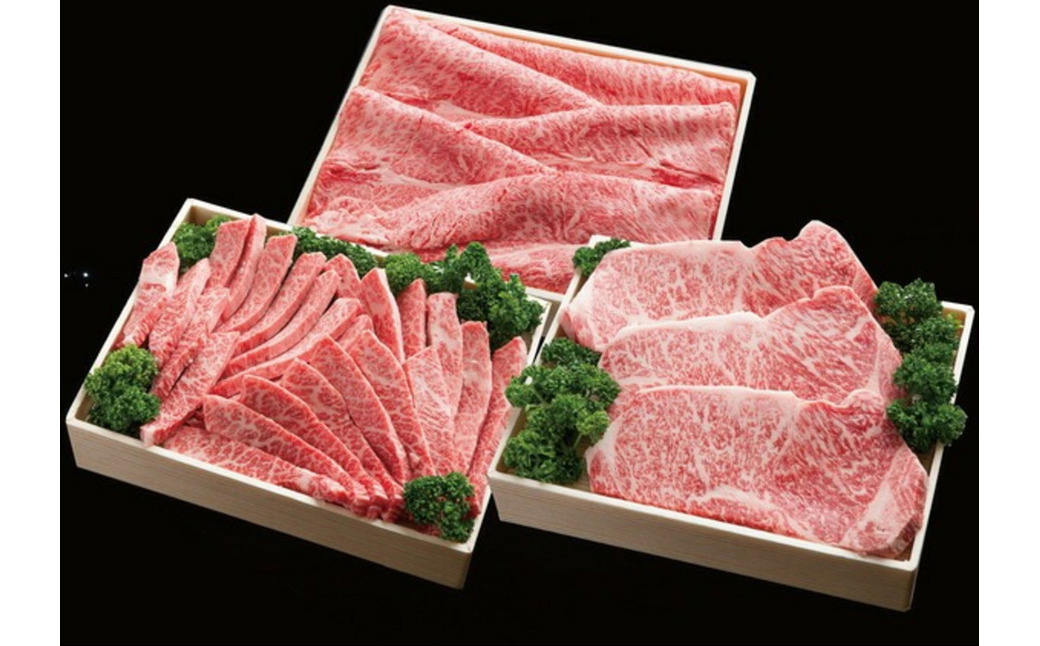 神戸牛　フルコースセット【4.4㎏】(TY-FC30) item1373 / 牛肉 霜降り 但馬牛 黒毛和牛 和牛 国産牛 肩 モモ ロース 焼き肉 ステーキ肉 すき焼き肉 神戸ビーフ 太田牧場【但馬牛太田家】【好評につき2月以降順次発送】