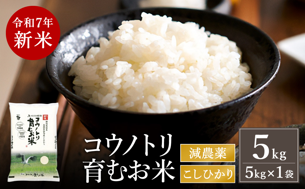 令和7年産　新米 減農薬 米 特別栽培米 5kg コウノトリ育むお米 但馬産 こしひかり 兵庫県産 (5kg×1袋)（94-004）減農薬 お米 5キロ 精米 白米 コウノトリ米 コシヒカリ 新米 コメ こめ ご飯 ライス 減農薬米