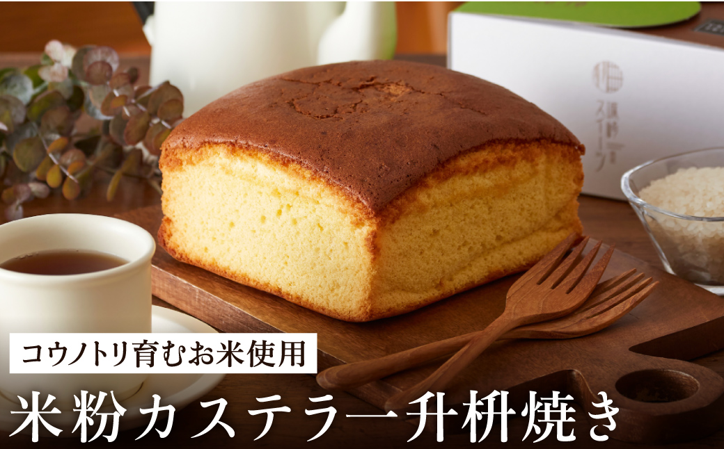 【コウノトリ育むお米使用】米粉カステラ一升枡焼き