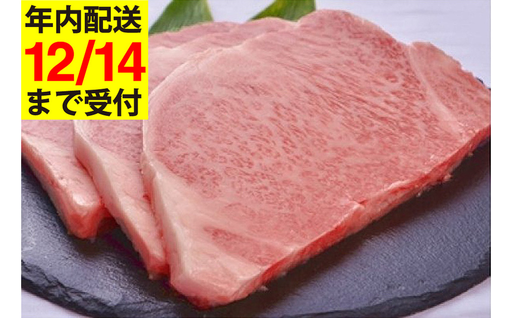 極上但馬牛 サーロインステーキ 3kg / 但馬牛 黒毛和牛 霜降り サーロイン ステーキ 赤身 ステーキ肉 焼肉 国産牛 和牛 肉 牛肉 特産品 お祝い ギフト【但馬ビーフはまだ】【12/14までの受注分年内発送】