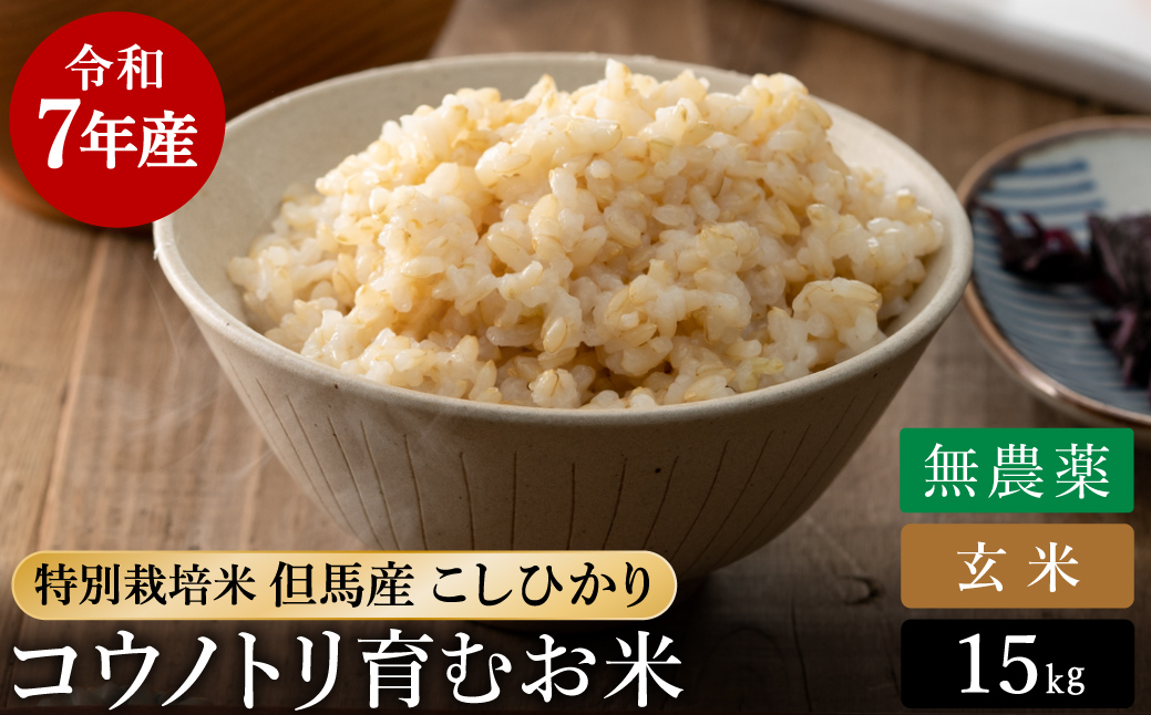 令和7年産 無農薬 玄米 15kg コウノトリ育むお米 但馬産 こしひかり 兵庫県産 (5kg×3袋) 無農薬 お米 15キロ 玄米 コウノトリ米 コシヒカリ 農薬不使用 特別栽培米 予約 コメ こめ ご飯 ライス 無農薬米