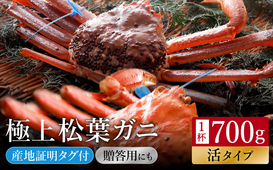 【kinosaki spa&gardens　湯楽使用】タグつき 活松葉ガニ　約700g
