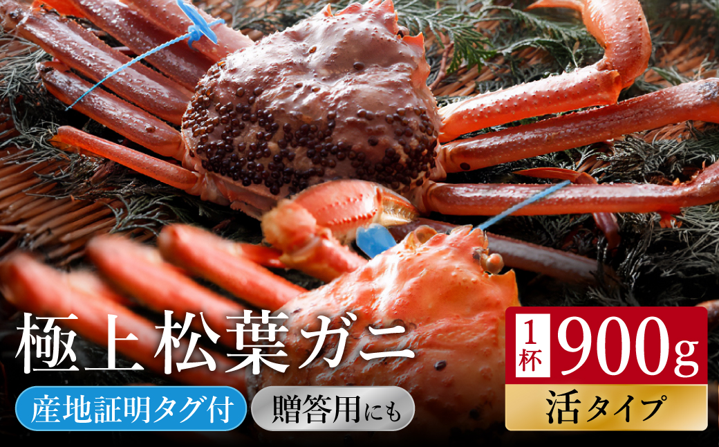 【kinosaki spa&gardens　湯楽使用】タグつき 活松葉ガニ　約900ｇ