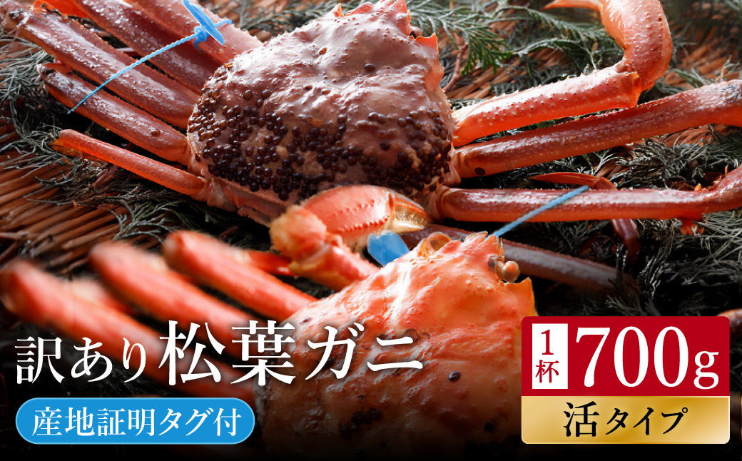 【訳あり】タグつき 活松葉ガニ700g前後