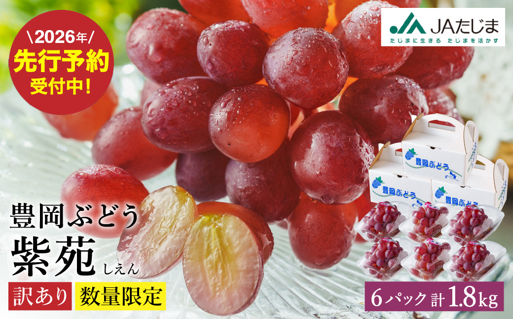 【2026年先行予約】数量限定 訳あり 豊岡ぶどう「紫苑」 約300g×6パック／ 紫苑  しえん ブドウ 葡萄 訳ありぶどう 大粒 強い甘み 爽やかな酸味 新鮮 果物 産地直送 くだもの フルーツ 上品 香り