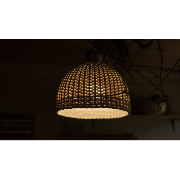 豊岡杞柳細工 育てる照明『hinode』照明金具：ダクトレールタイプ（E26口金） / ランプシェード 照明金具・電球付き 柳 半円球 伝統工芸品 天然素材 行李柳 コオリヤナギ