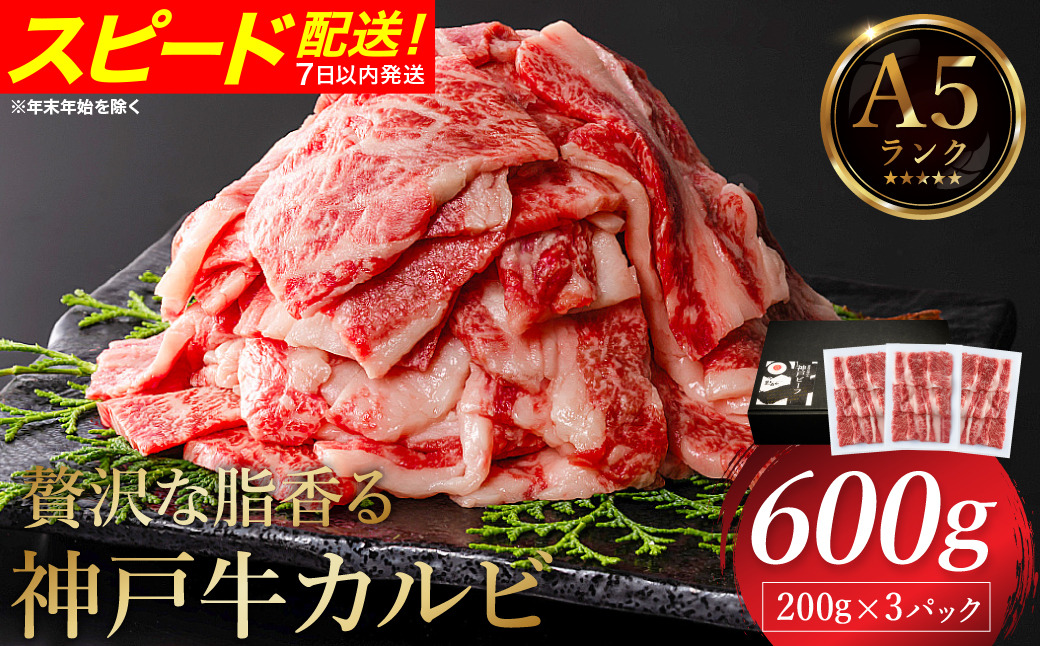 贅沢な脂香る A5ランク 神戸牛 カルビ焼肉 600g（200g×3パック）/ A5ランク 牛カルビ 小分け 牛肉 焼肉 カルビ バラ 肉 ばら肉 焼き肉 密着包装 霜降り バーベキュー 冷凍 国産牛 ブランド牛 黒毛和牛 神戸ビーフ 化粧箱入り ギフト【帝神志方ミート】【12/21までの受注分年内発送】