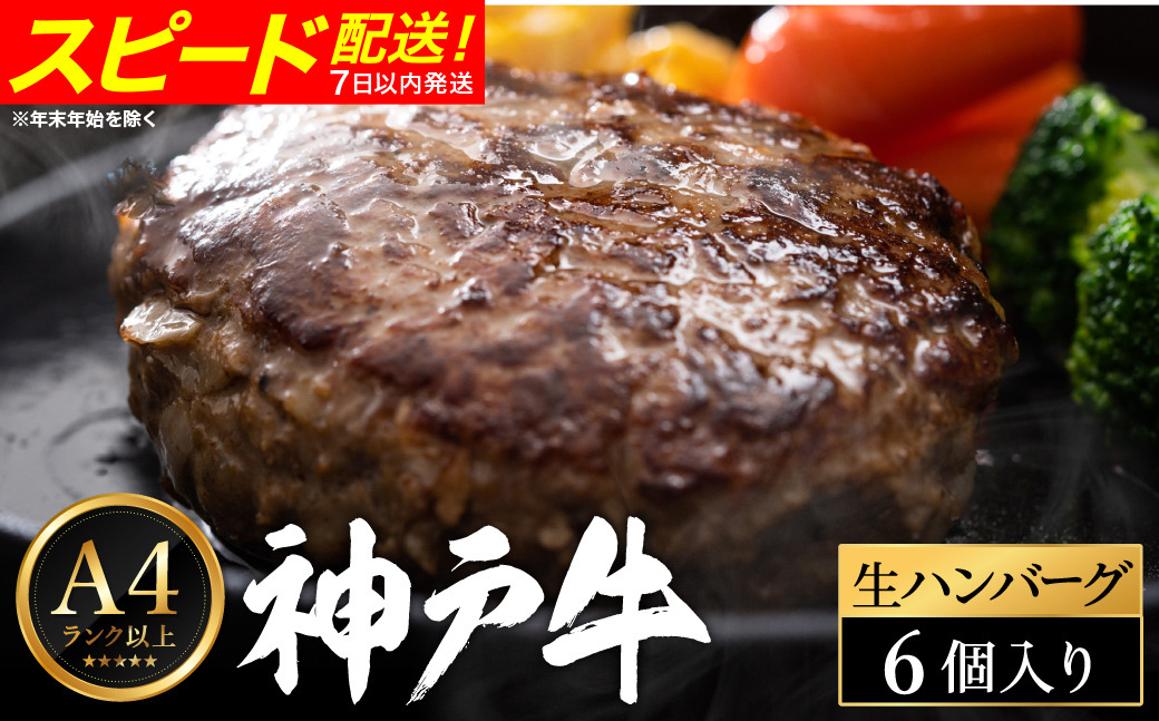 神戸牛 生ハンバーグ （100g×6個） 【帝神志方ミート】