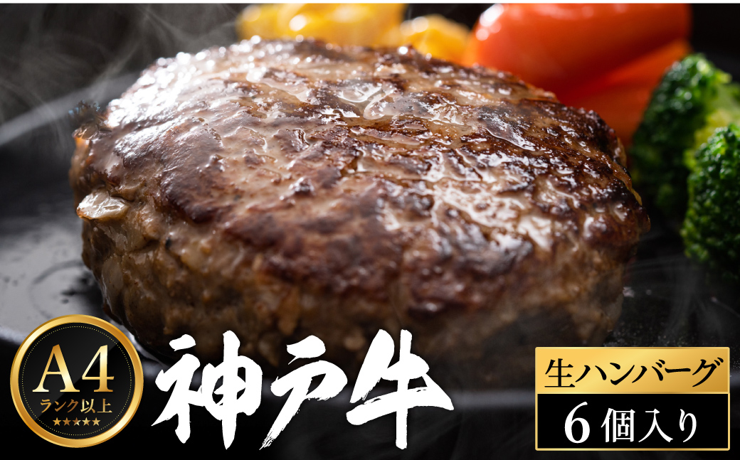 神戸牛 生ハンバーグ （100g×6個） 【帝神志方ミート】