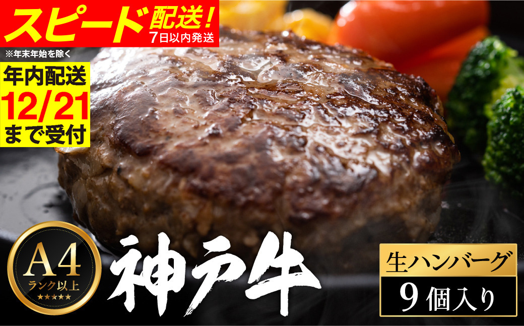 神戸牛 生ハンバーグ （100g×9個） 【帝神志方ミート】【12/21までの受注分年内発送】