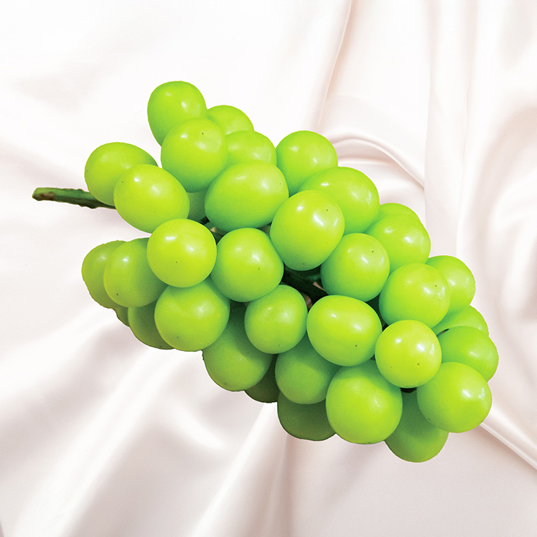 豊岡ぶどう シャインマスカット 約2kg / 豊岡ブドウ 産地直送 糖度が高い 濃厚 甘味 上品な香り 歯切れの良い 皮ごと 食べられる 減農薬 シャイン マスカット ぶどう ブドウ 葡萄 果物 くだもの フルーツ ふくい農園