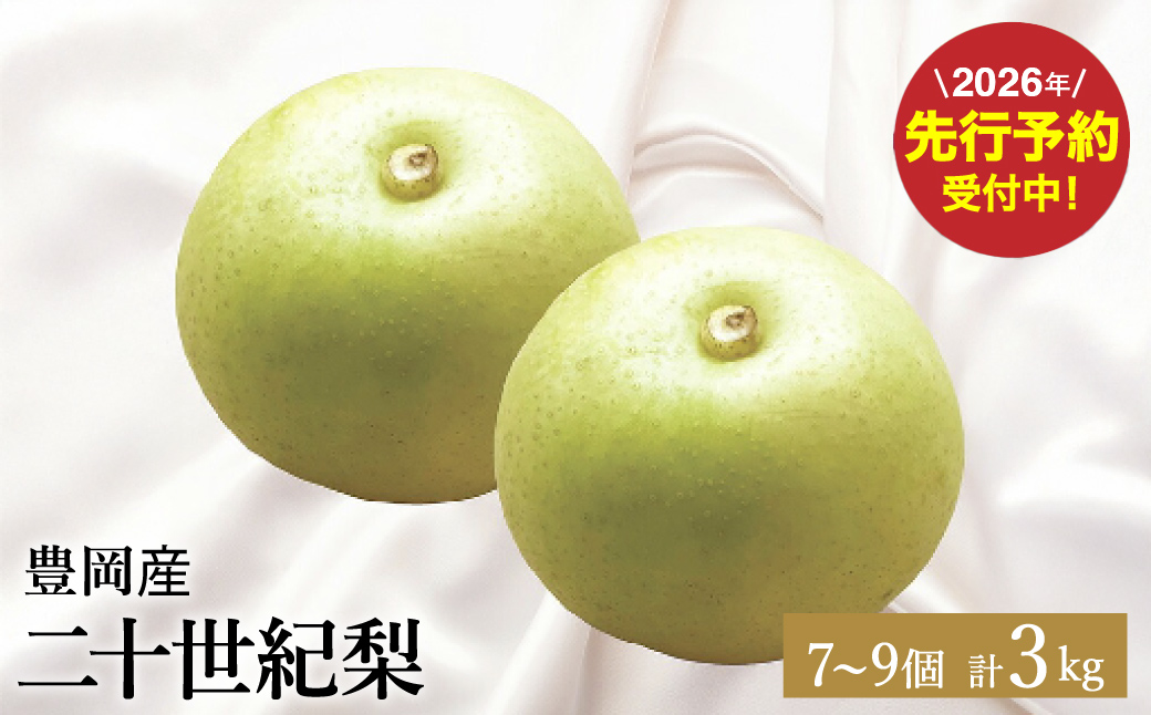 【2026年先行予約】二十世紀梨 3kg（7～9個） / 梨 産地直送 みずみずしい シャリシャリ 食感 さっぱり バランスの良い 酸味 甘味 減農薬 なし ナシ 果物 くだもの フルーツ ふくい農園