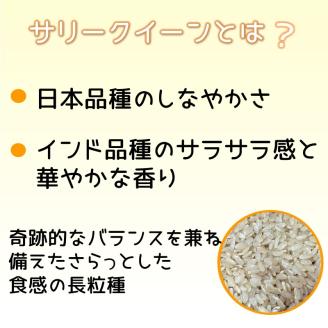 お米 サリークイーン 玄米《 お米 玄米 5キロ 安心 安全 バスマティ 日本晴 米 おこめ 国産 送料無料 ピラフ パエリア》【2401B08405】