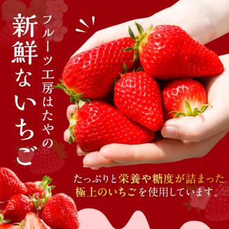 いちご果肉がたっぷりの苺ジャム3本セット《 いちご ジャム 果肉 新鮮 いちごジャム 保存料不使用 》【2401K09703】