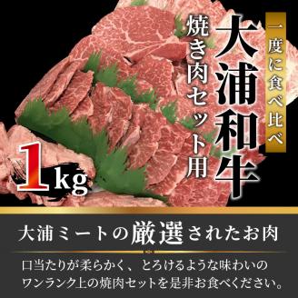 大浦和牛焼肉セット(1kg)《 牛肉 牛 国産 焼肉 セット おすすめ ロース 美味しい 牛タン ハラミ ヘレ フィレ ヒレ ヒレ肉 食べ比べ バーベキュー 》【2405A00206】