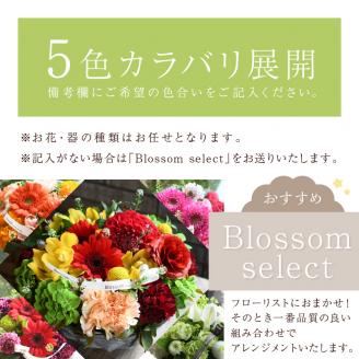 【フラワーアレンジメント】パリスタイルアレンジメント(Lサイズ)【5色カラバリ展開】【2403U03806】