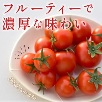 高見農園のニコニコトマト(フルーツミディトマト)約1.8kg [1月中旬より順次発送]《 トマト とまと 産地直送 野菜 ふるさと納税 国産 期間限定 送料無料 》【2401C10402】