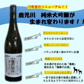 酒宝 鹿児川純米大吟醸 720ml 2本セット【2401F02602】