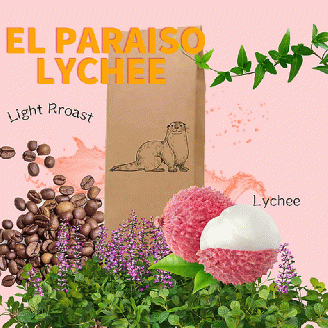 ナショナルウィナー スペシャルティコーヒーギフト 450g《 焙煎 浅煎り フルーティー 酸味 香り ギフト 豆 3種 セット ふるさと納税 珈琲 コーヒー 》【2402G11702】