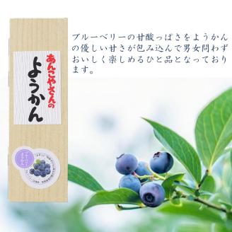【老舗の味】あんこやさんの「ようかん2種」(ブルーベリー1個・珈琲1個セット)【2401H05921】