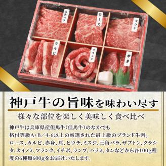 自社牧場直送神戸牛6点食べ比べ焼肉(600g)《 国産 自社牧場直送 肉のヒライ 焼肉 食べ比べ 牛肉 霜降り ロース ハラミ 三角バラ カルビ お楽しみ セット 詰め合わせ 》【2403A00104】