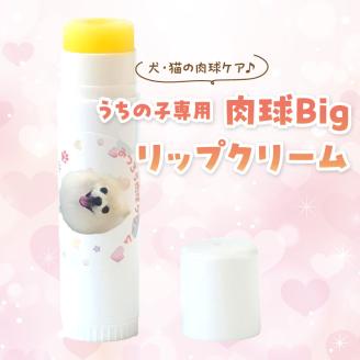 【ペット専用】うちの子専用肉球 Bigリップクリーム 《 ペットグッズ 愛犬 ケア 国産みつろう100% オーガニック スティックタイプ 大容量 ホホバオイル 》【2400N13313】