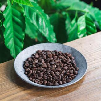 播磨珈琲焙煎所おすすめコーヒー豆セット《 珈琲 コーヒー 珈琲豆 オリジナルブレンド ミャンマー セット 詰め合わせ 》【2501G11403】