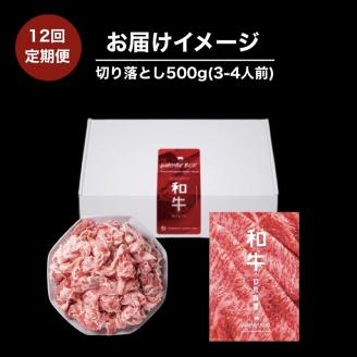 全12回定期便 肉のまち加古川 プリンセス和牛 切り落とし(500g×12か月)《 定期便 肉 和牛 切り落とし 牛肉 肉じゃが 牛丼 プルコギ カレー 日常使い おいしい おすすめ 贈答 》【2417A11506】
