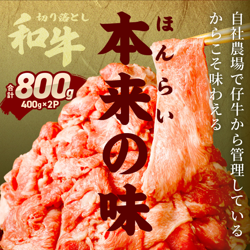 「和牛」切り落とし(400g×2パック)〈 和牛 切り落とし 志方亭 焼肉 肉 牛肉 小分け 冷凍 国産 送料無料 贈答用 美味しい お取り寄せ 肉 ギフト プレゼント おすすめ 〉【2401A00403】