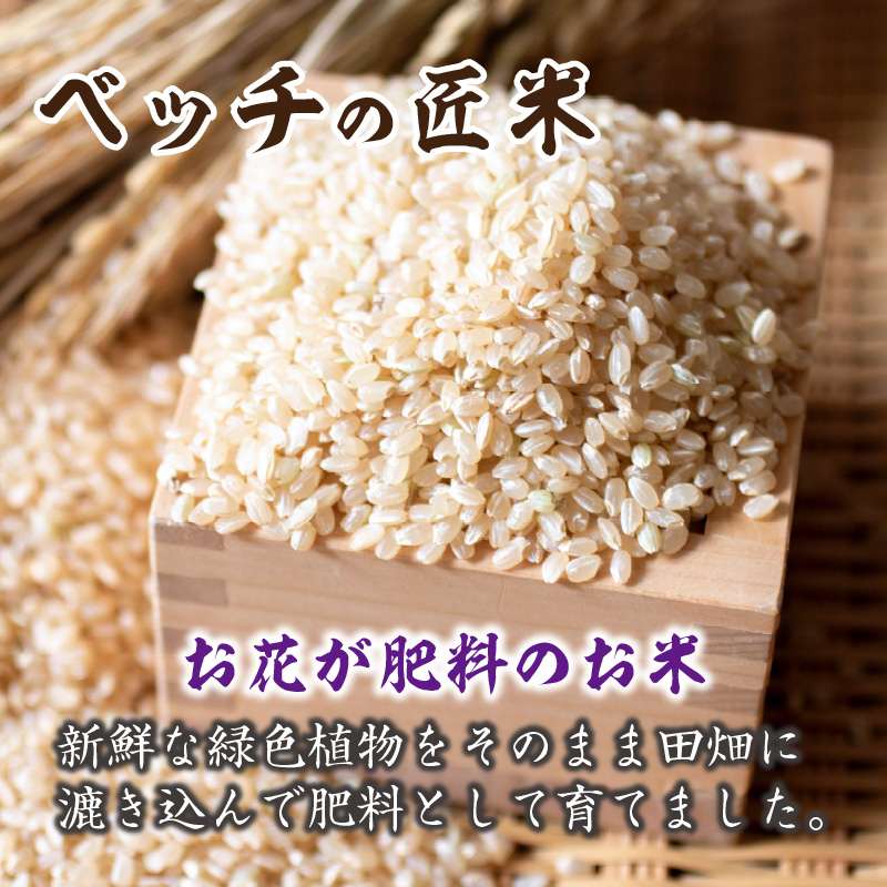 【緑肥作物へアリーベッチ】ベッチの匠米(玄米)7kg【2024年11月下旬より順次発送】《 玄米 7kg お米 玄米 安心 安全 米 おこめ 国産 送料無料 》【2401B02904】
