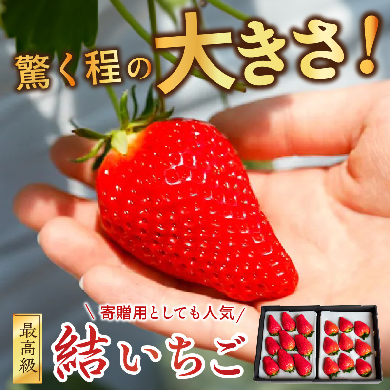 結いちご(2パック入)[12月下旬より順次発送] 《 いちご 大粒 苺 フルーツ 果物 フルーツ工房はたや ふるさと納税いちご イチゴ 高級 国産 送料無料 》【2402C09706】