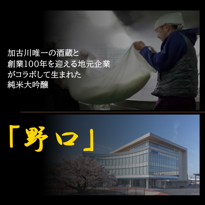 日本酒 「野口」純米大吟醸《 日本酒 酒 お酒 純米大吟醸 大吟醸 山田錦 》【2401F16301】