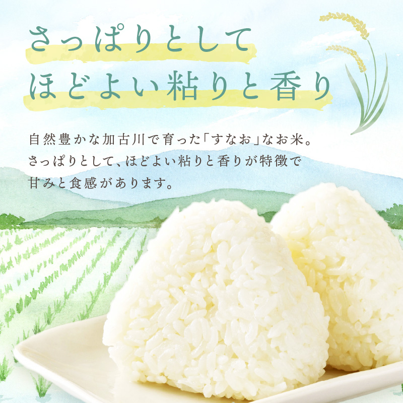 ☆先行予約☆【新米 令和7年産 2025年11月より順次発送】はしもとさんちのお米(5kg)《 お米 米 ヒノヒカリ 精米 お米5kg お米5キロ ごはん ご飯 》【2501B14301】