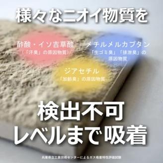 天然の空気清浄機！タツタイルS調湿脱臭パネル2[2枚]【2402N11901】