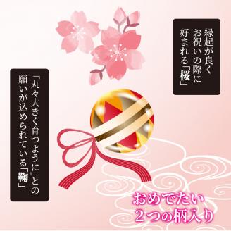 雛人形 名前旗（小） 刺繍入り台付《 お祝い 刺しゅう入り 名前札 贈り物 名前旗 縁起がいい 正月 ひな祭り 七五三 》【2406S03902】