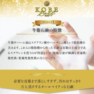 「無添加神戸ビーフ化粧ソープ」フルセット【2403P07311】