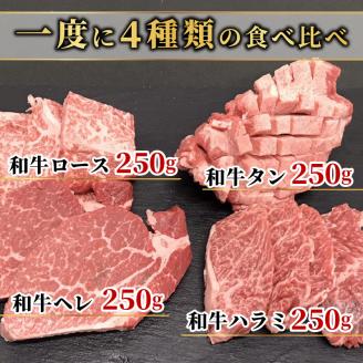 大浦和牛焼肉セット(1kg)《 牛肉 牛 国産 焼肉 セット おすすめ ロース 美味しい 牛タン ハラミ ヘレ フィレ ヒレ ヒレ肉 食べ比べ バーベキュー 》【2405A00206】